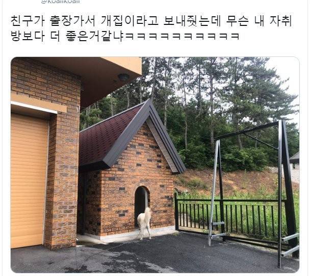 개집이 내 자취방보다 좋음 | 인스티즈
