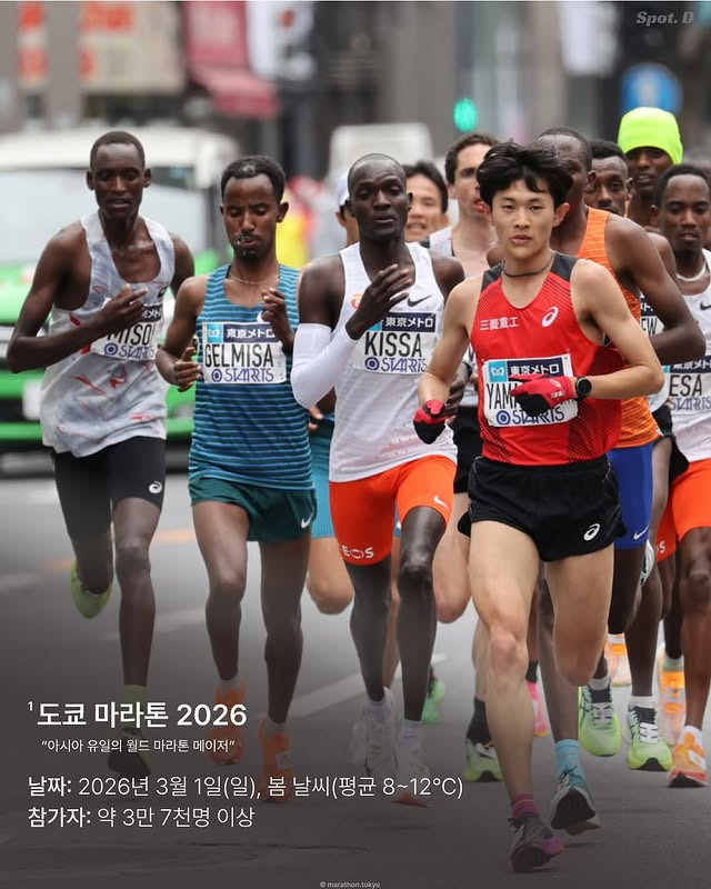 세계 7대 마라톤 | 인스티즈