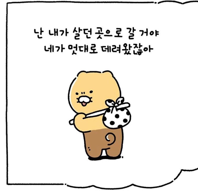 키우는 고양이가 보이지 않는다 ㅠㅠㅠㅠㅠ | 인스티즈