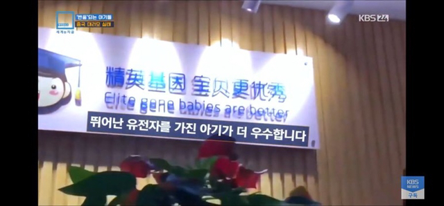 충격과 공포의 중국 대리모 시장 | 인스티즈