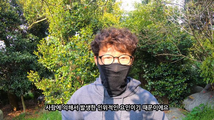 [사진100장스압] 고양이가 자연생태계에 끼치는 심각한 영향 | 인스티즈