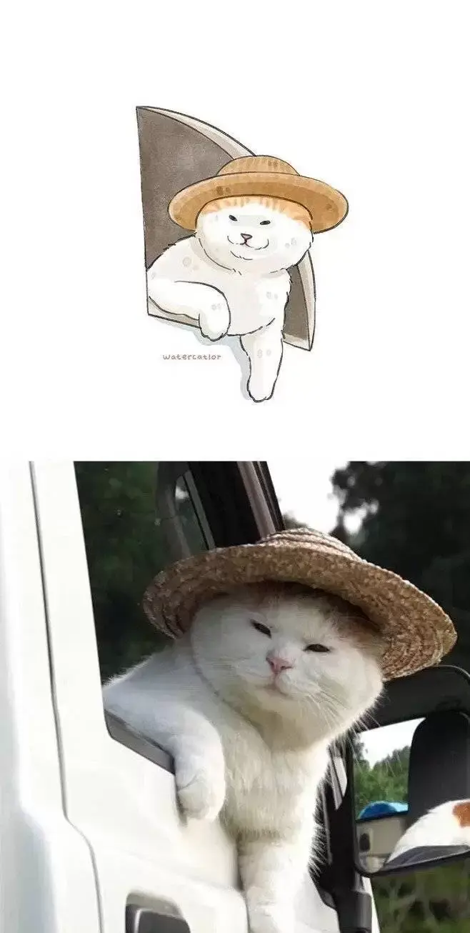 커여운 고양이 그림 | 인스티즈