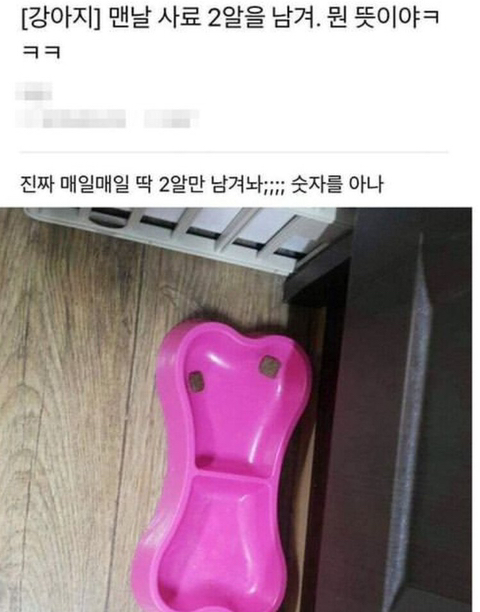 댕댕이가 사료 2알을 남기는 이유.jpg | 인스티즈