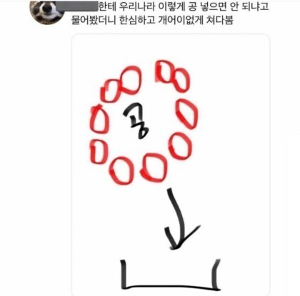 ??? : 왜 이렇게 해서 공 안 넣음? | 인스티즈