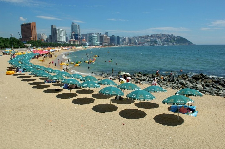 가라고 했다고 진짜 가서 너무 아쉬운 녀석... | 인스티즈