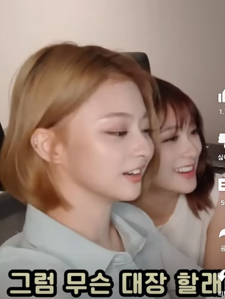 장군급에서 수직 낙하하는 여자 아이돌 | 인스티즈