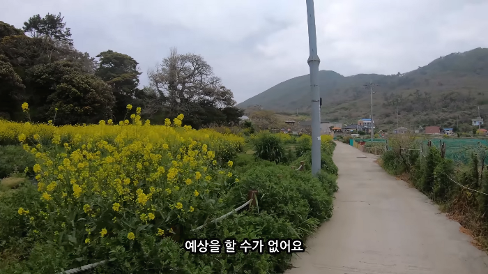 [사진100장스압] 고양이가 자연생태계에 끼치는 심각한 영향 | 인스티즈