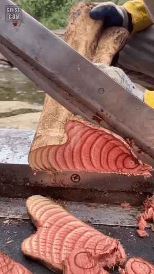 나무 자르기 | 인스티즈