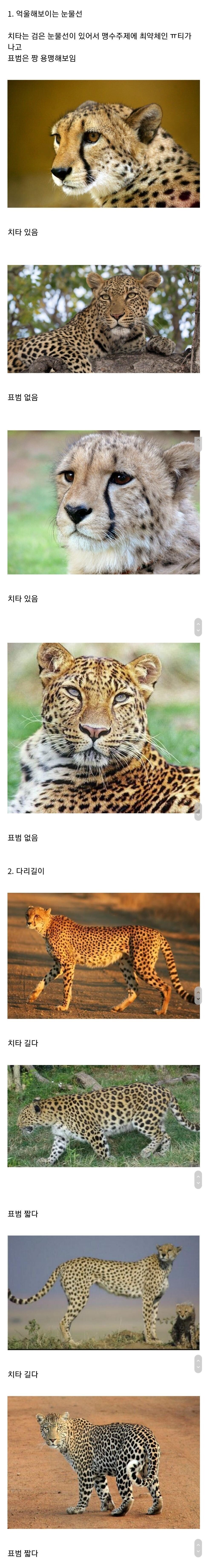 4281daf2da06686659cd21397bdc0b9ac63f8135