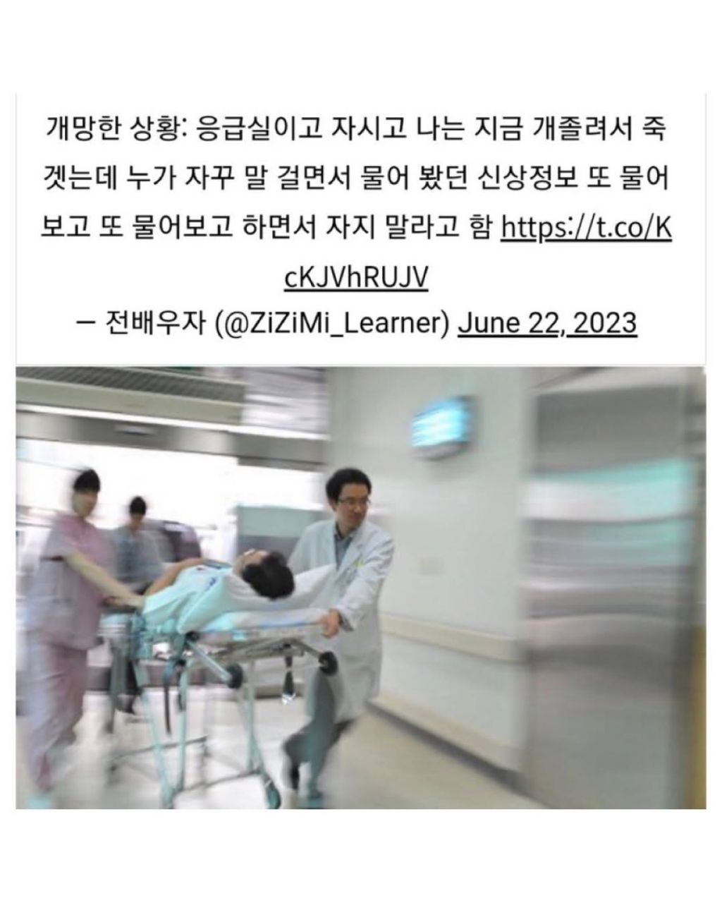 의사가 나를 하찮게 취급해야 좋다는곳 | 인스티즈
