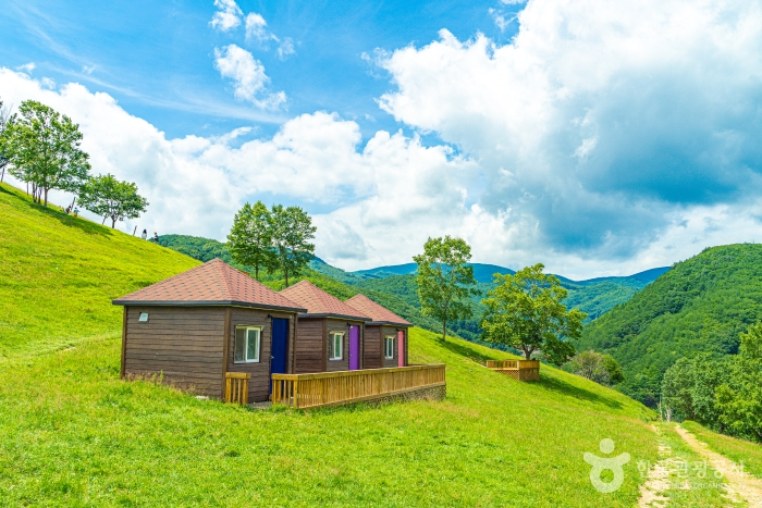 인생샷 찍기 좋다는 국내 배경이 예쁜 여행지들.JPG | 인스티즈