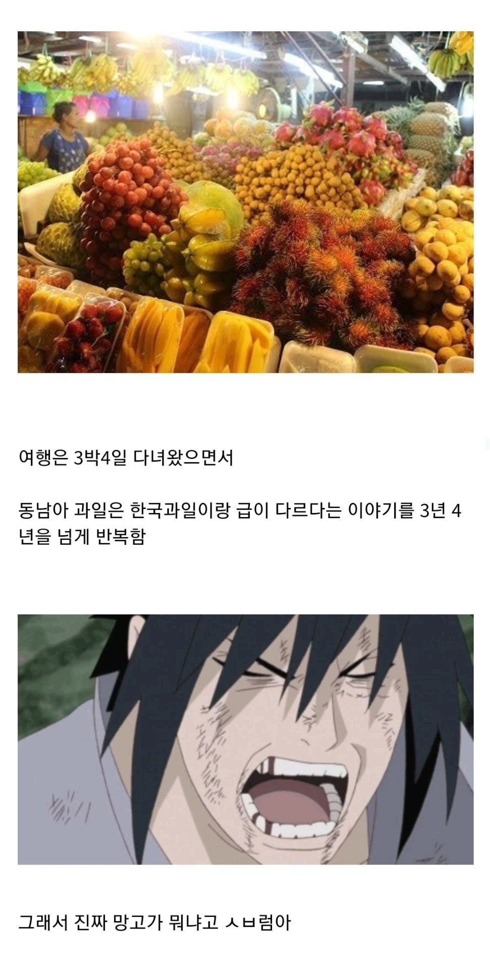 동남아 여행 다녀온 친구 특.jpg | 인스티즈