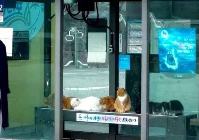 겨울철 최고의 버스정류장 | 인스티즈