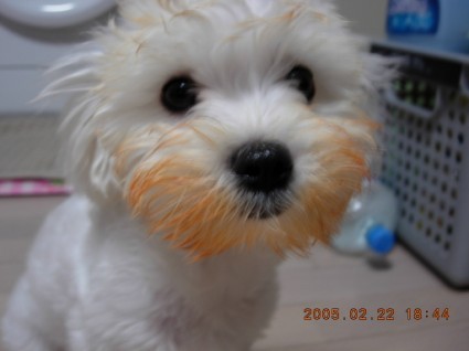 43dc4fe088c6a40a69f7c9111411bc008be8ee6e