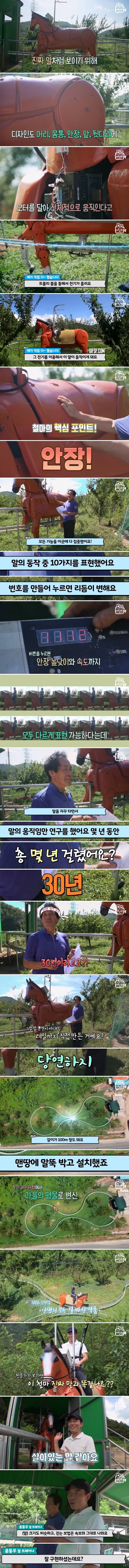 아픈 여동생을 위해 30년 세월 동안 만든 놀이기구 | 인스티즈
