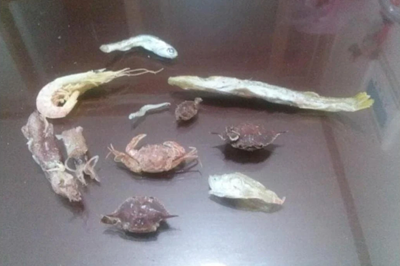 멸치박스 사면 나오는 것들 | 인스티즈