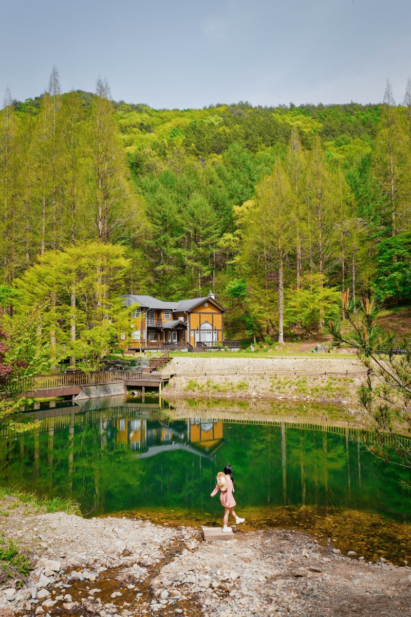 인생샷 찍기 좋다는 국내 배경이 예쁜 여행지들.JPG | 인스티즈