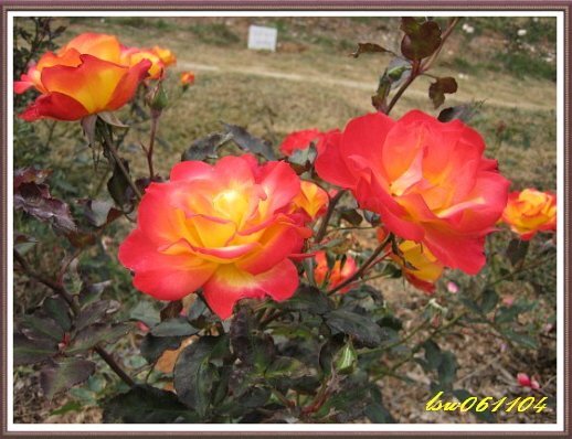 옛날 메이플스토리 추억의 희귀템들 - 1 | 인스티즈