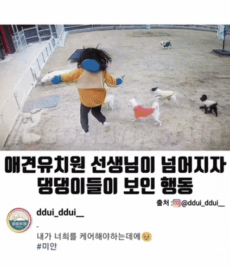 우에하라 아이 | 인스티즈