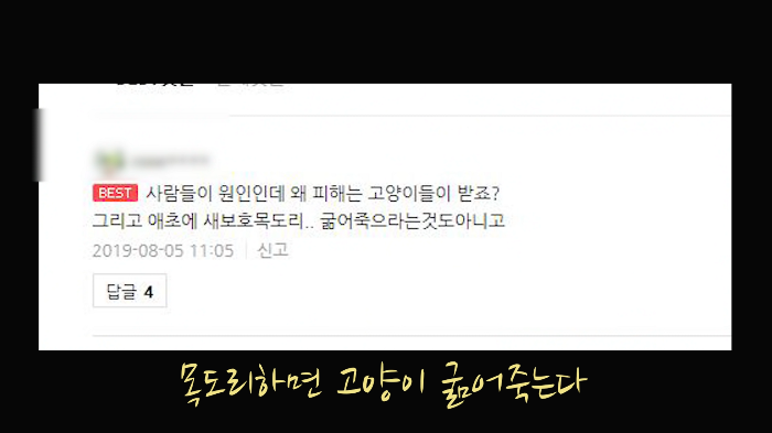 [사진100장스압] 고양이가 자연생태계에 끼치는 심각한 영향 | 인스티즈