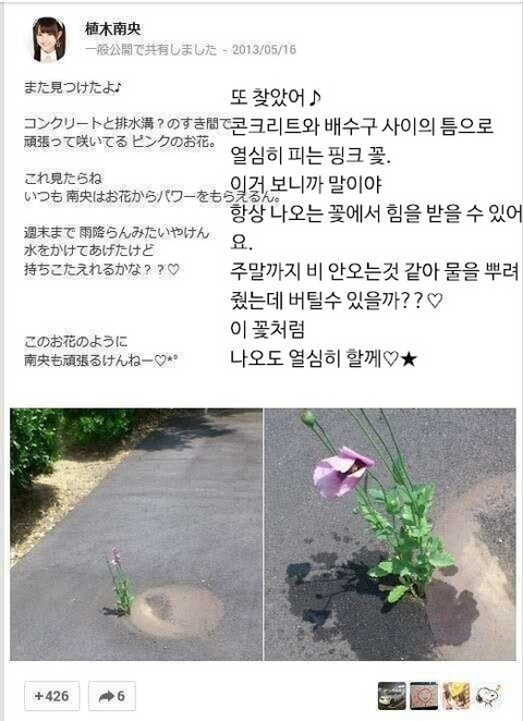 대마로 힘을 얻는 아이돌 | 인스티즈