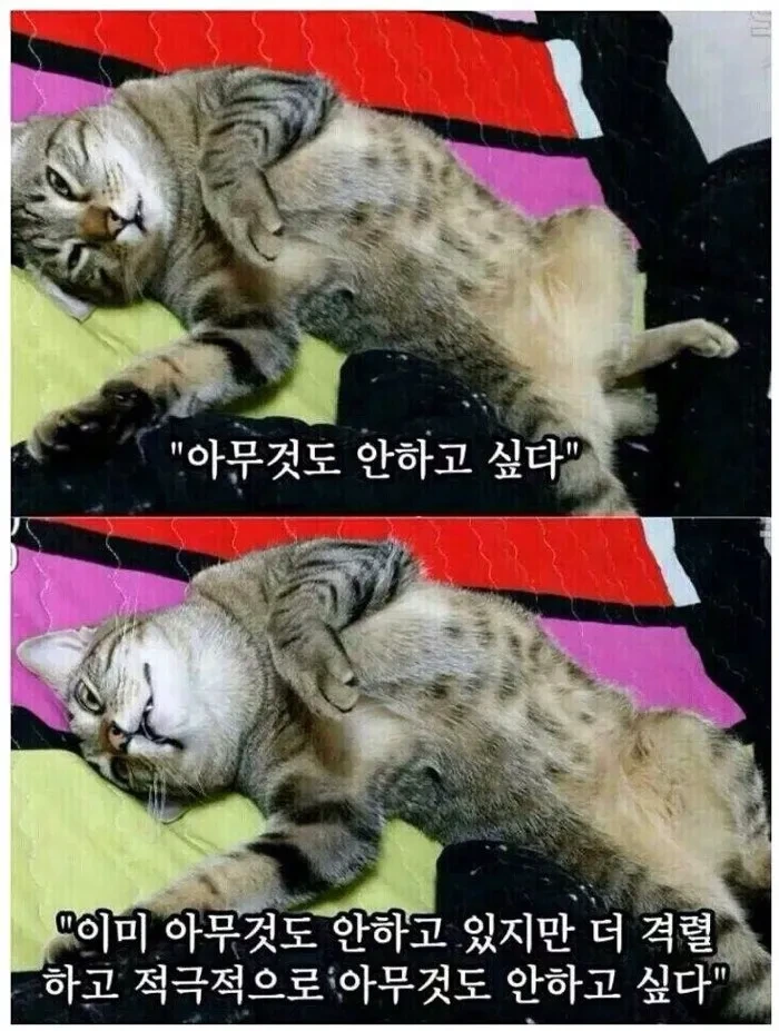 빠름 이미지