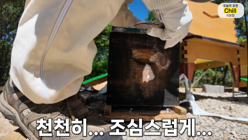 양봉 시작한 올리버쌤 근황.jpg | 인스티즈