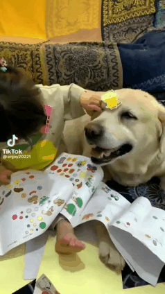 아이라서 참는 고영희씨와 댕댕이씨.gif | 인스티즈
