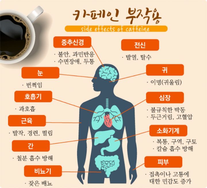 카페인 이미지