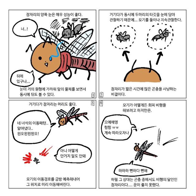 잠자리가 줄어드는 이유.jpg | 인스티즈