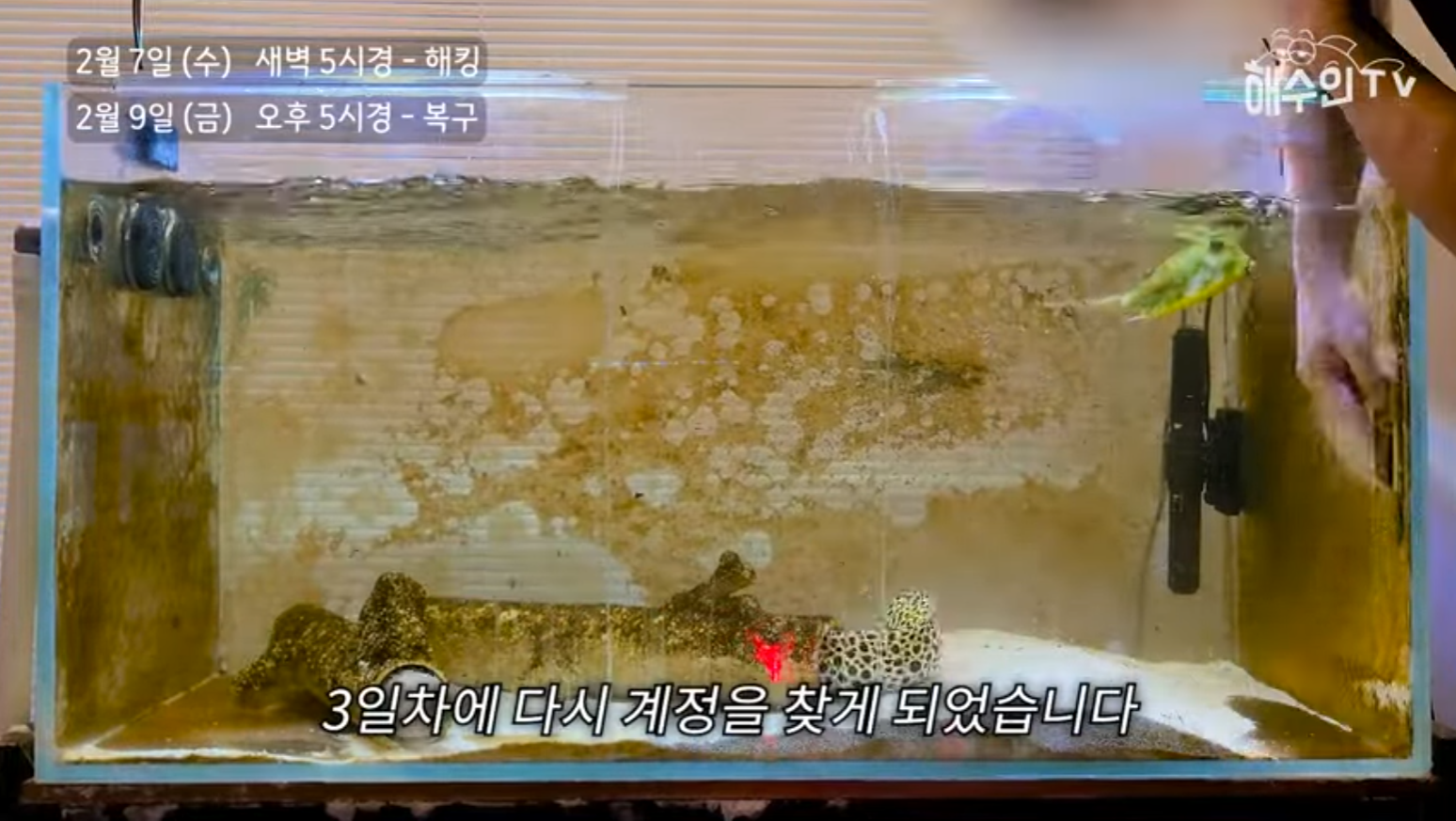 유튜브 계정이 3번이나 해킹 당한 이유 | 인스티즈