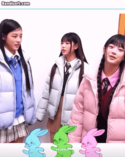 다양한 바리에이션을 보여주는 뉴진스 시그니처 토끼.jpg | 인스티즈