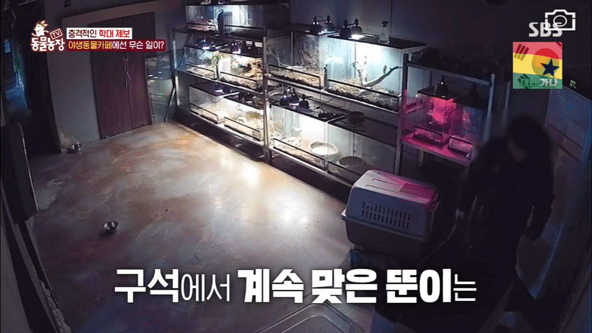 현재 난리난 동물농장에 나온 동물카페 사장.jpg | 인스티즈