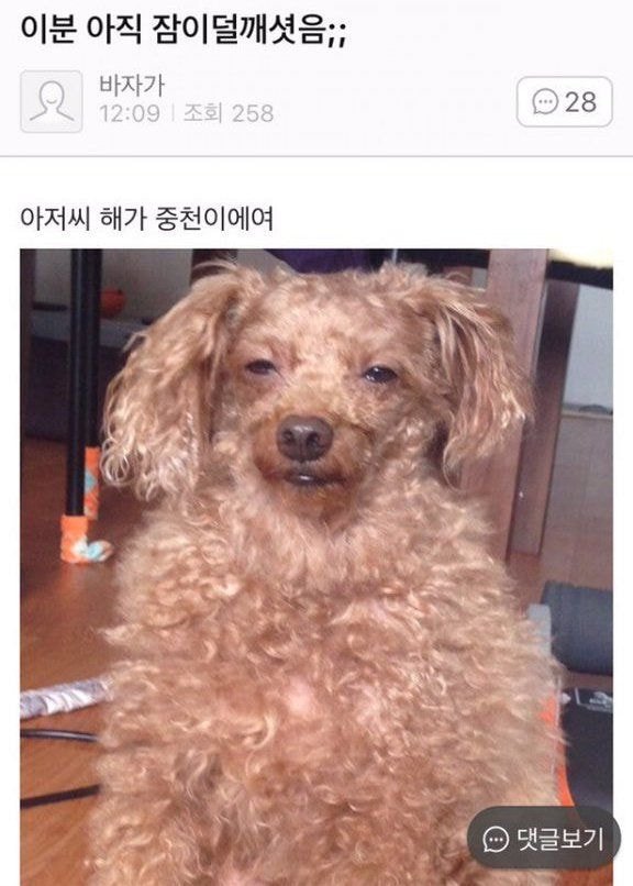 당면 이거 양 많냐(스압) | 인스티즈