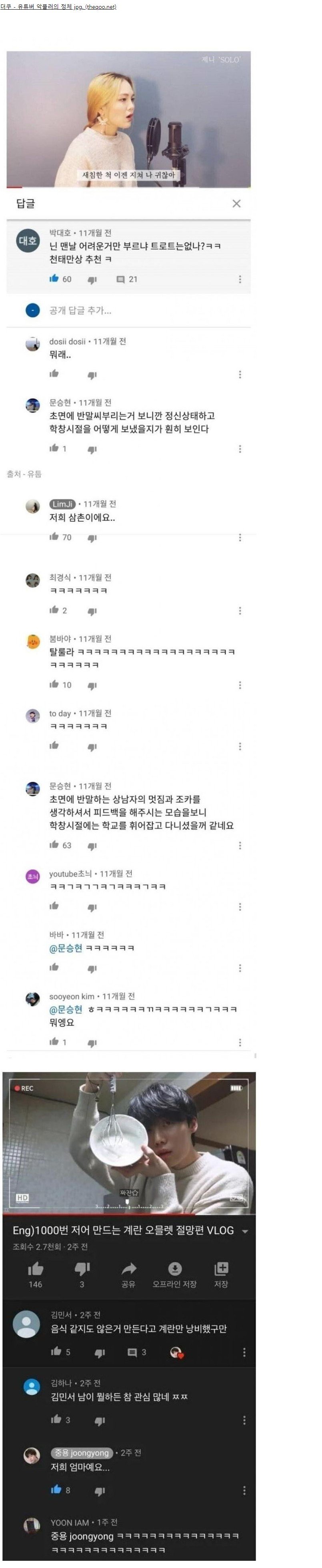 충격적인 유튜브 악플러의 정체 jpg | 인스티즈