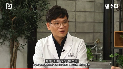 국내 소형견이 유독 슬개골 탈구가 많은 이유 | 인스티즈