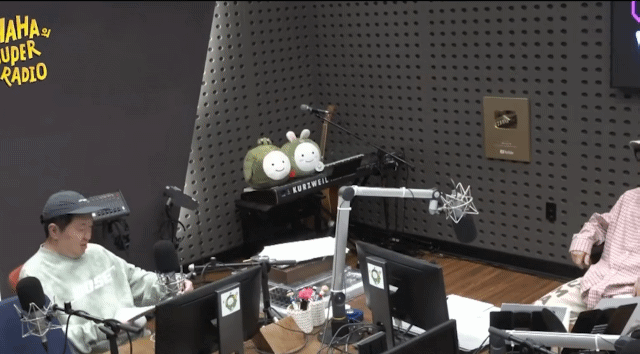 하하 라디오 출연한 정형돈.gif | 인스티즈