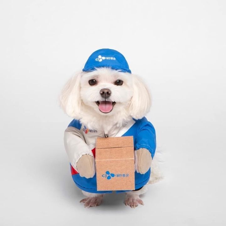 명예 택배사원 경태 프로필사진.jpg | 인스티즈