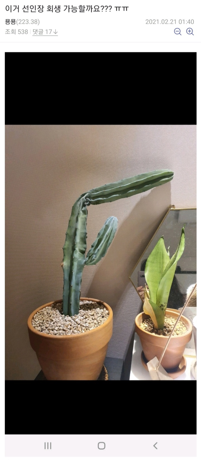 474381be9dde4d86a5a3fa73a7d768eb50d9119c