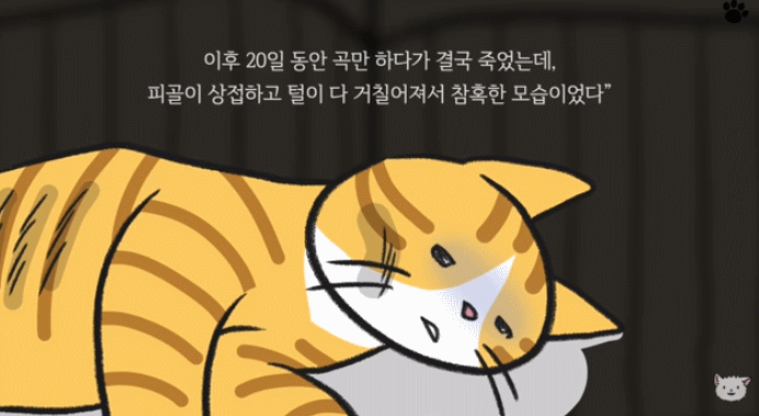 고양이를 사랑한 숙종이야기 | 인스티즈