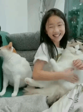 제대로 삐진 고양이.gif | 인스티즈