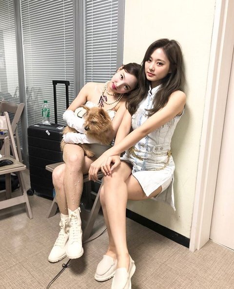 처음 보고도 뭐가 이상한지 알수없는 트와이스 사진 | 인스티즈