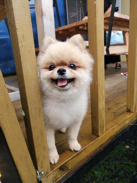 보고싶은 우리 맥주 | 인스티즈