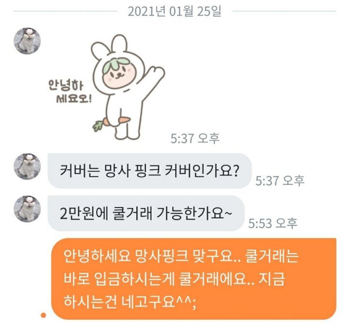 당근마켓에서 잘못 사용되는 쿨거래라는 단어.JPG | 인스티즈