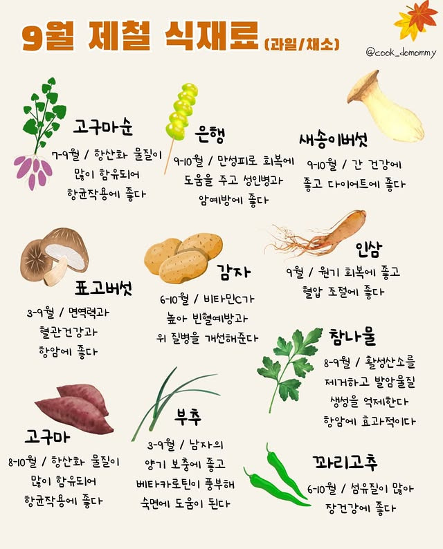 9월 제철 식재료 - 웃긴자료 ‥‥‥‥‥、 - 도탁스 (DOTAX) 9월 제철 식재료