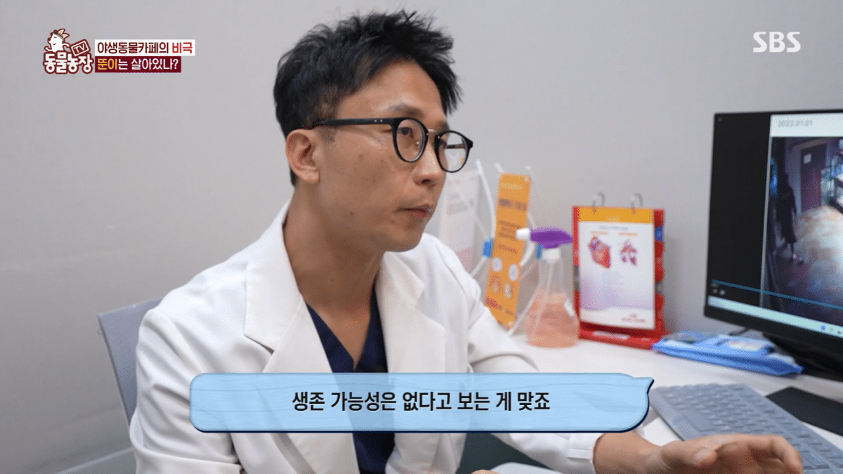 현재 난리난 동물농장에 나온 동물카페 사장.jpg | 인스티즈