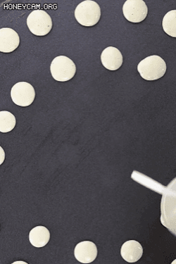 요즘 해외에서 유행하는 시리얼.jpg | 인스티즈