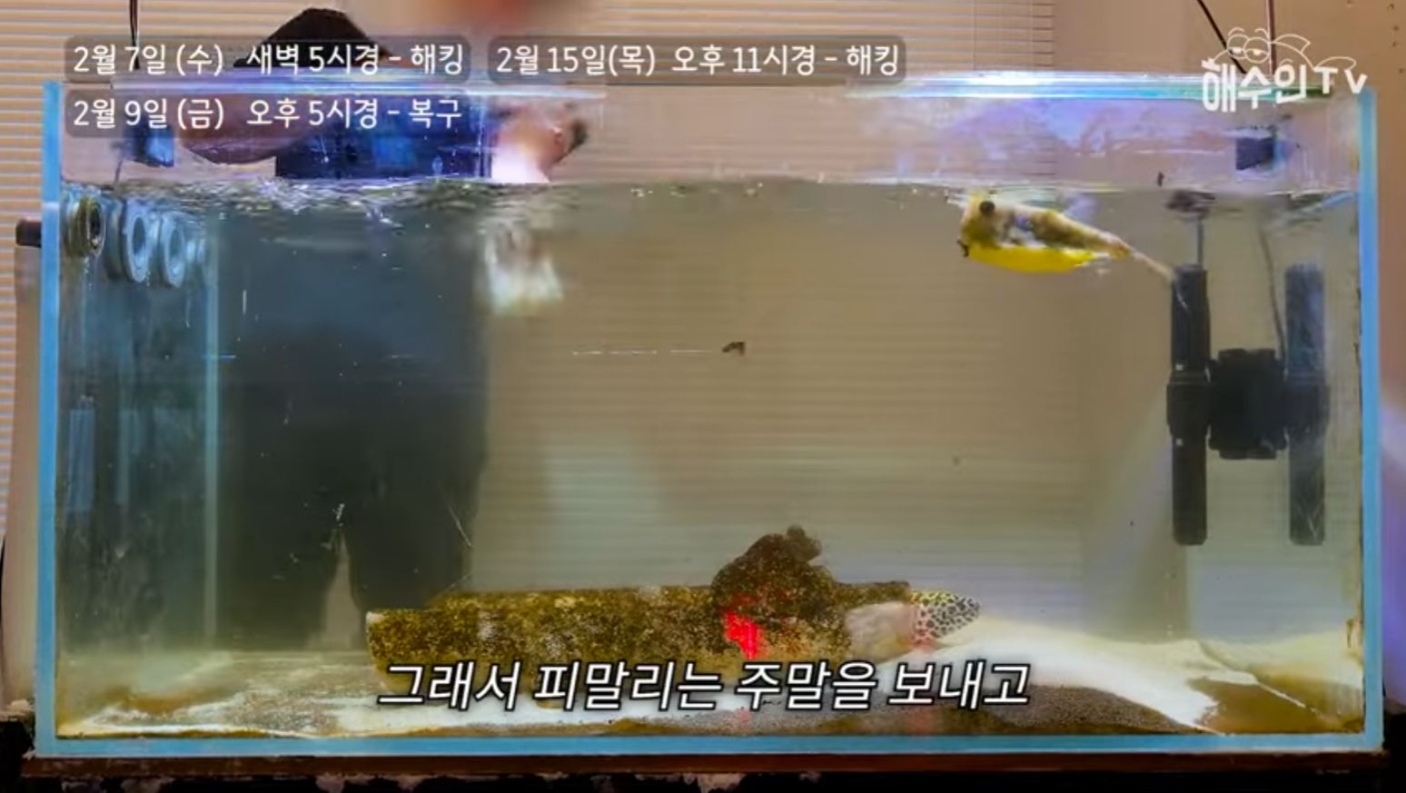 유튜브 계정이 3번이나 해킹 당한 이유 | 인스티즈