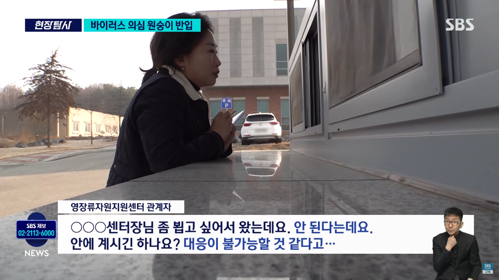 바이러스 의심 원숭이 반입 뉴스 | 인스티즈