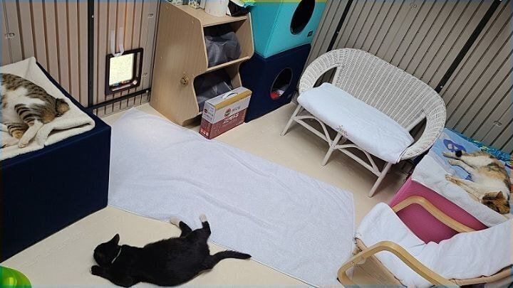 경남의 한 아파트의 길고양이 집.jpg | 인스티즈